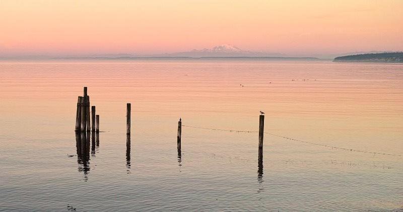 Sq Tranquility-Beach Sequim Exterior photo